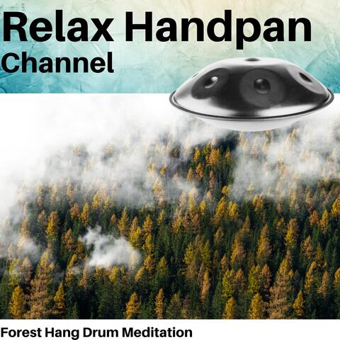 Forest Hang Drum Meditation
