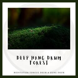 Light of Dawn (with Forest Sound)