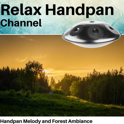 Handpan Melody and Forest Ambiance