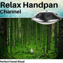 Improvisation (with Forest Sound)