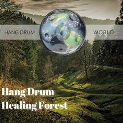 Path of Enlightenment (Forest Noise)