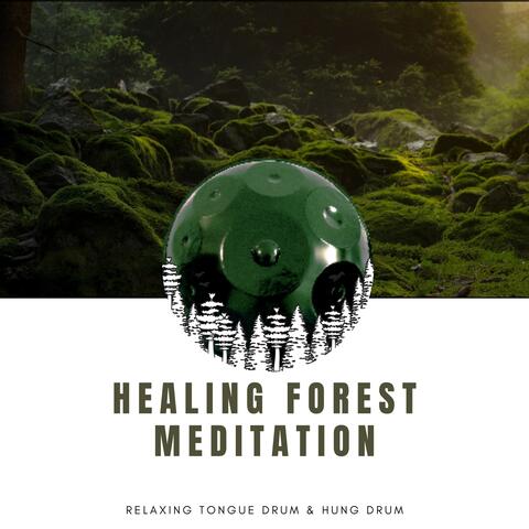 Healing Forest Meditation