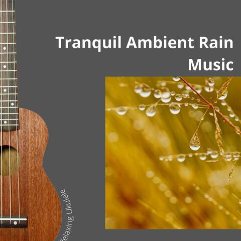 Tranquil Ambient Rain Music