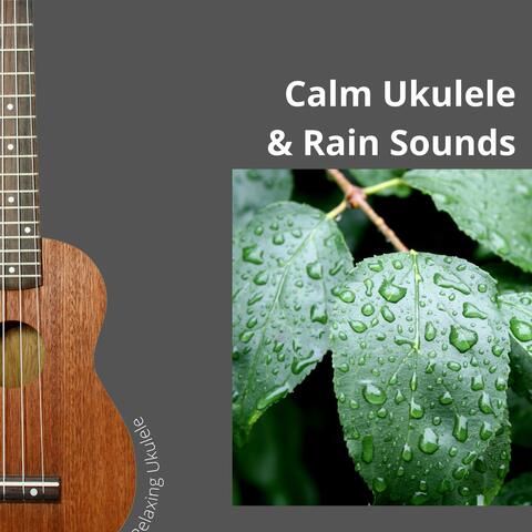 Calm Ukulele & Rain Sounds