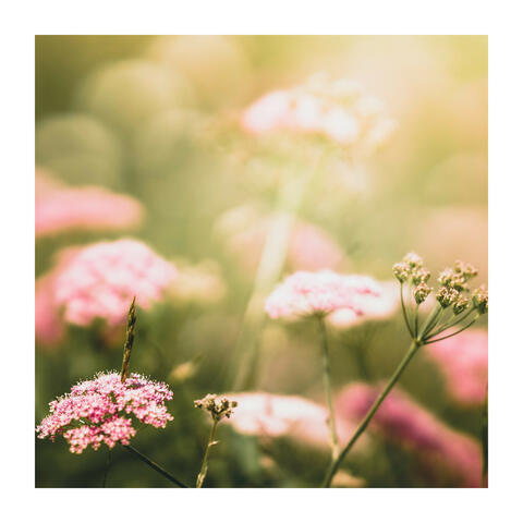 Appreciate Your Beautiful Life