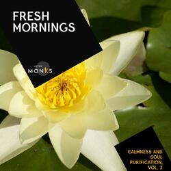 Morning in the City Gardens