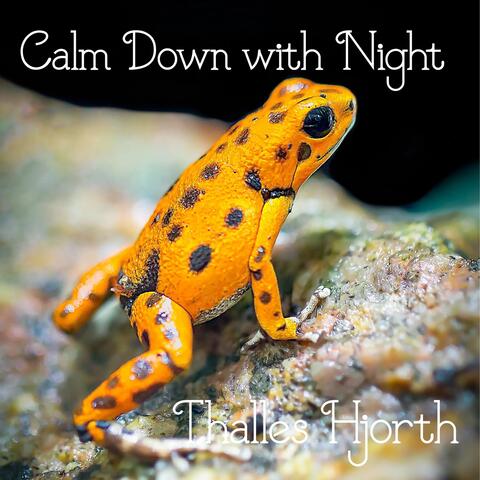 Calm Down with Night