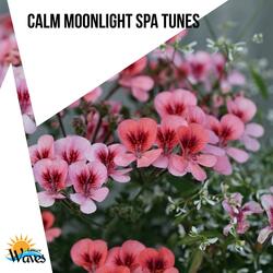 Smoothness of Calming Lives