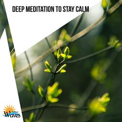 The Delights of Yogic Path