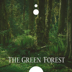 Calm Green Life