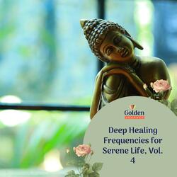 Meditation for Correct Processing of the Information