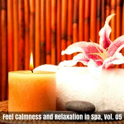 The Yogic Vibes