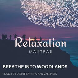 Thermal Spa At Switzerland