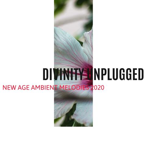 Divinity Unplugged - New Age Ambient Melodies 2020