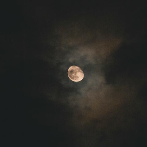 Recovery White Noise