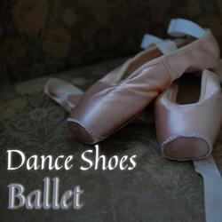 Ballet Moves and Ballet Dance Steps (3/4 Time Signature)
