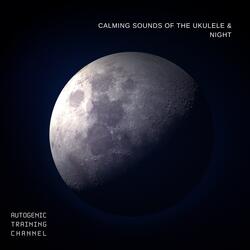 Woolgathering - Night Sound