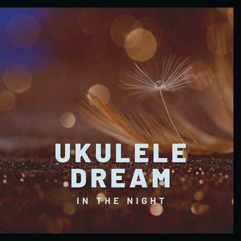 Ukulele Dream in the Night