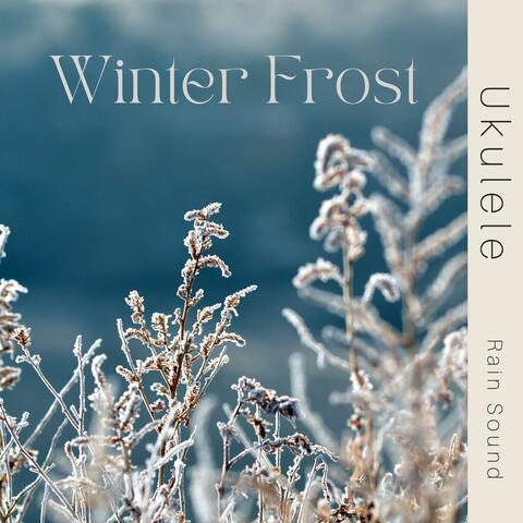 Ukulele - Winter Frost - Rain Sound