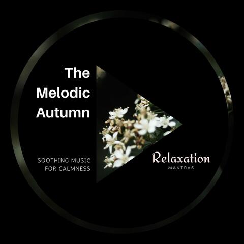 The Melodic Autumn - Soothing Music for Calmness