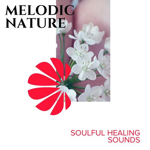 Melodic Nature - Soulful Healing Sounds