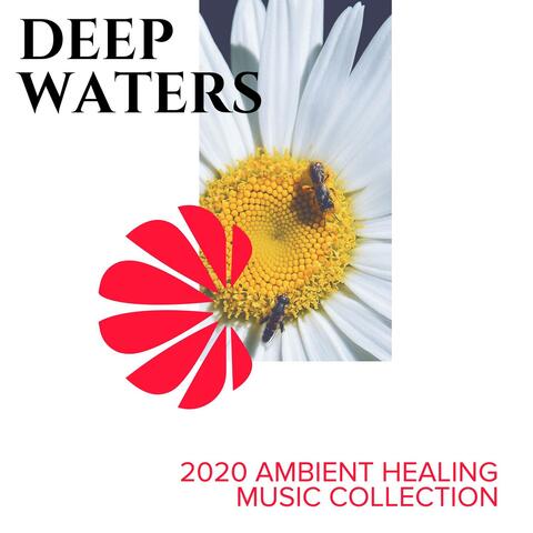 Deep Waters - 2020 Ambient Healing Music Collection