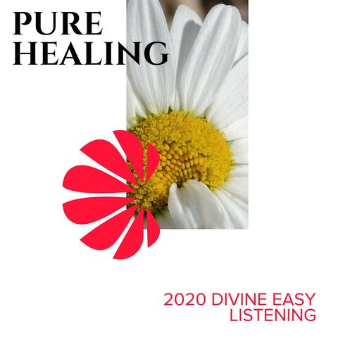 Pure Healing - 2020 Divine Easy Listening
