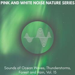 Ambient Ocean and Bird Sound