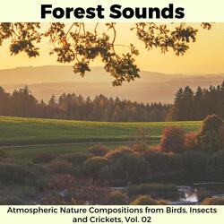 Enthralling Calls of the Woodpecker