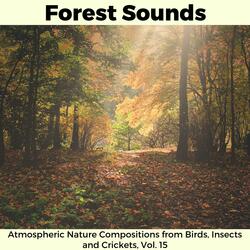 Soft Gusts of Winds for Focus