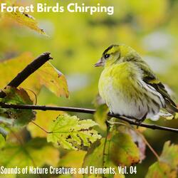 Dreamy Mountain Night