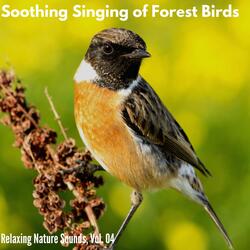 Cloudy Dawn Waterfall