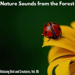 Extensively into the Wild