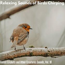Long Tailed Birds Feasting