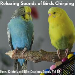 Animal Greetings in the Late Morning