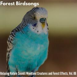 Captivating Calls of Grassland Creatures