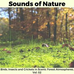 Chuffing Insects