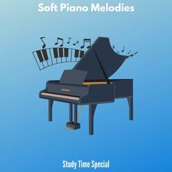 Sunset Forest Travel Solo Piano