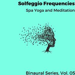 Meditation Enhances the Immune system and Mind 70.00 Hz