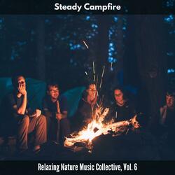 The Vibrations of Campfire
