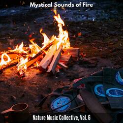 Crack Fire Noise