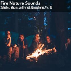 Blissful Fire Flames