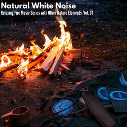Night Blissful Fire