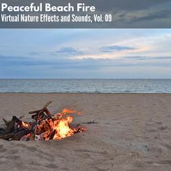 The Only Fire