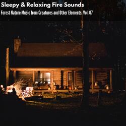 Relaxing Birds and Fire
