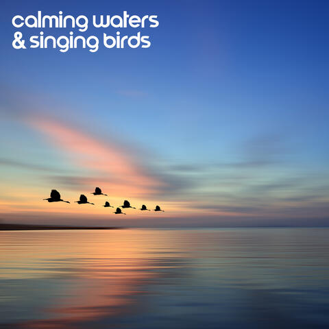 Calming Waters & Singing Birds: Relieve Stress, Fatigue, Depression • Sounds & Melodies To Heal Body And Spirit