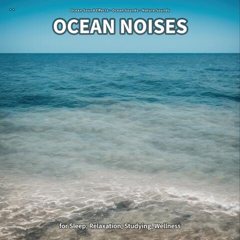 ** Ocean Noises for Sleep, Relaxation, Studying, Wellness