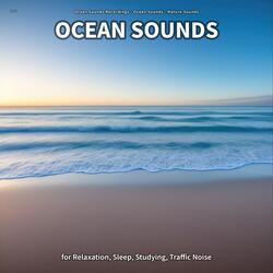 Ocean Sounds, Part 91