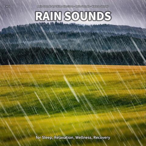 #01 Rain Sounds for Sleep, Relaxation, Wellness, Recovery