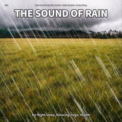 The Sound of Rain, Pt. 64